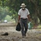 La tierra y la sombra